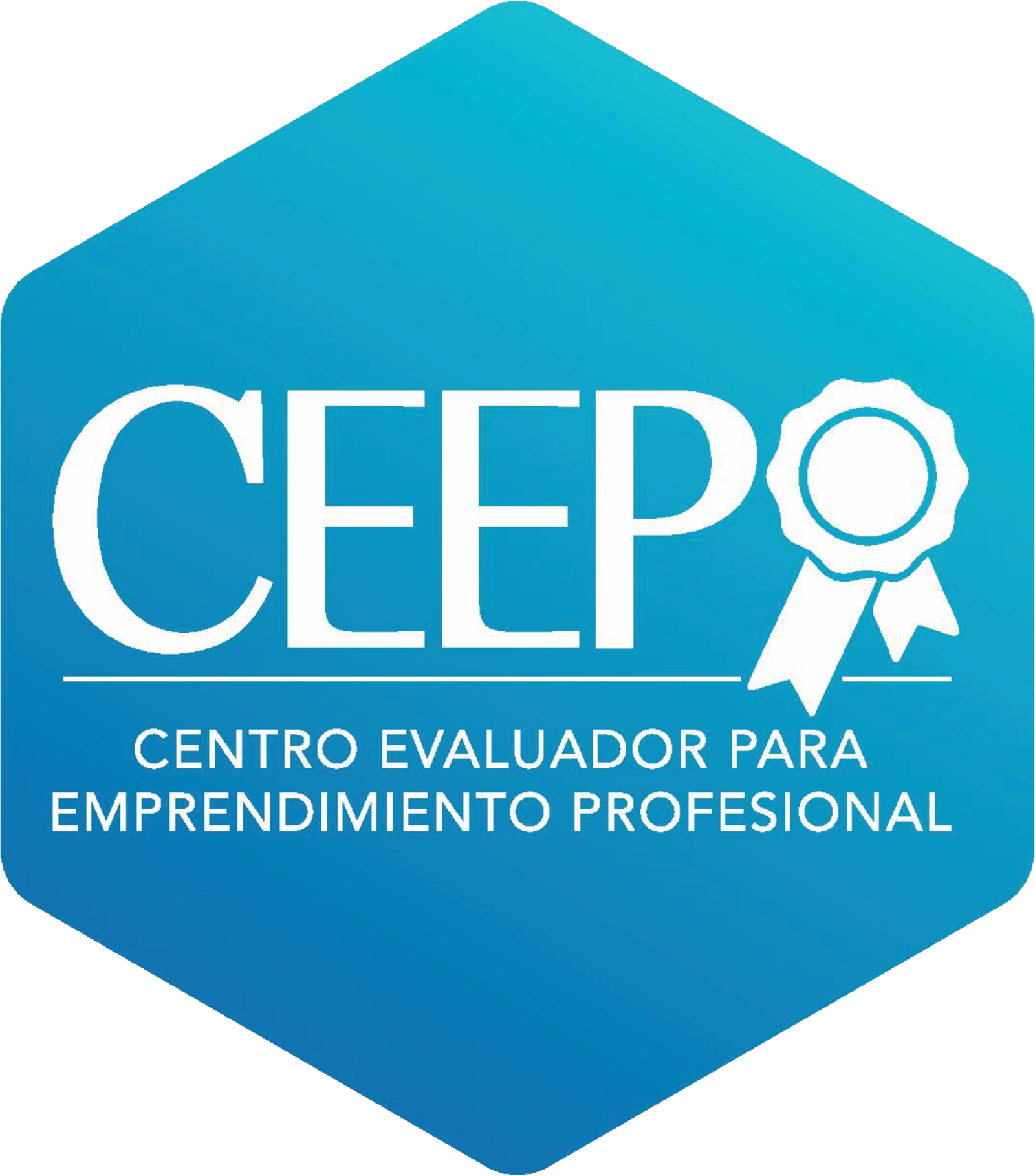 Nuestros cursos - CEEP Academy